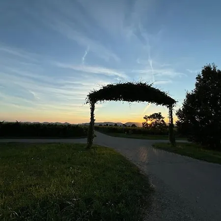 In Der Suedpfalz